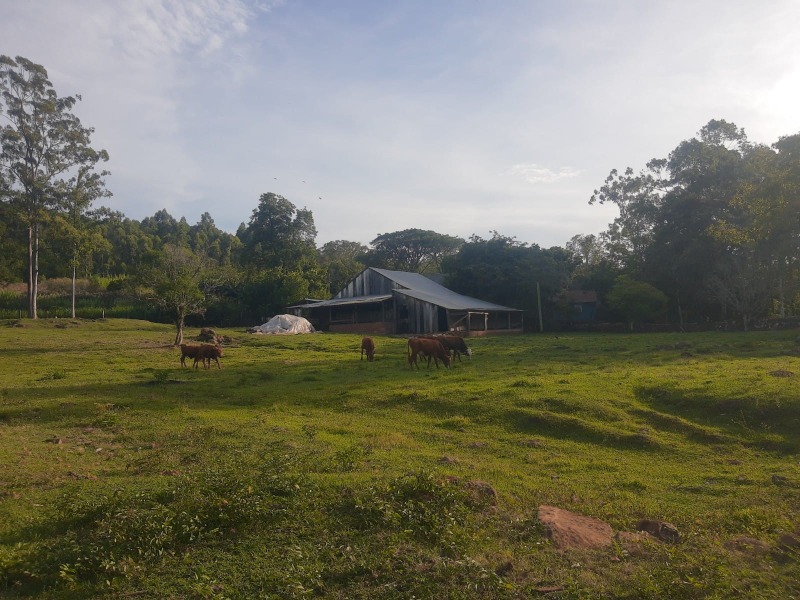 Chácara à venda com 6 quartos, 600.00m² - Picada dos Nabos,Sapiranga