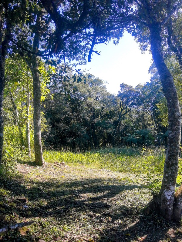Terreno à venda - São José do Herval,Morro Reuter