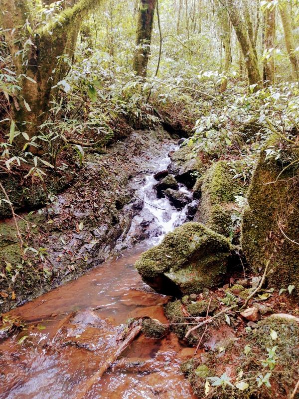 Sítio à venda - Padre Eterno,Santa Maria do Herval