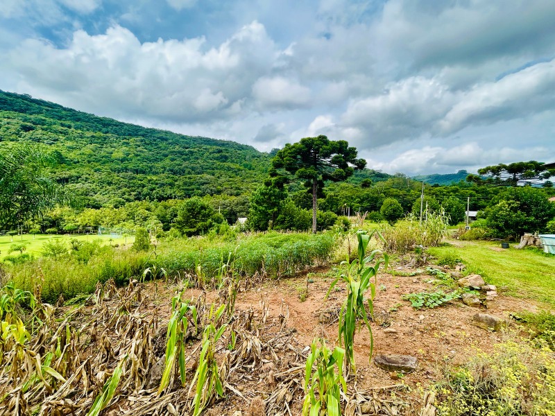  - Terreno à venda em Santa Maria do Herval, Padre Eterno Baixo, 979.38m²