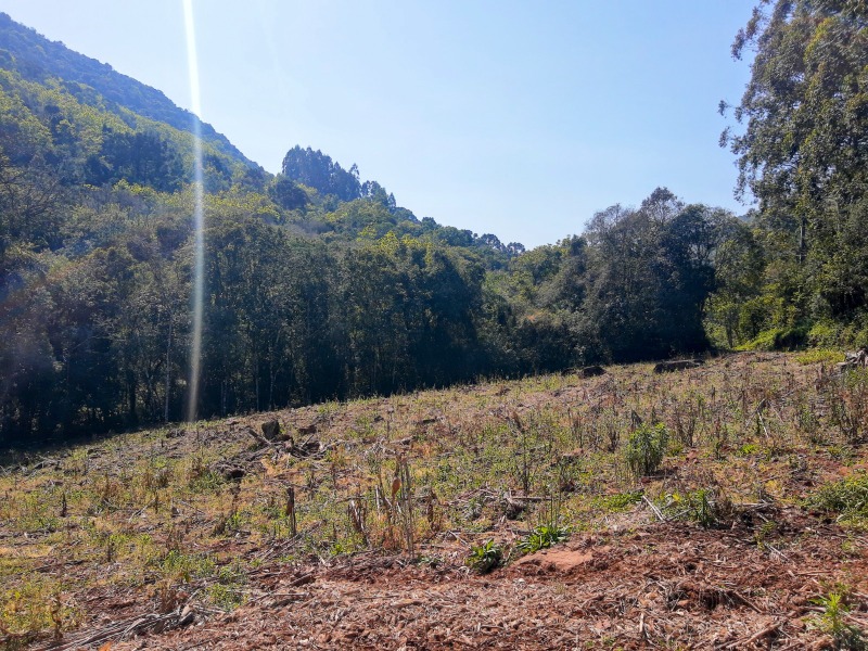  - Sítio à venda em Santa Maria do Herval, Linha Marcondes, 10.000,00m²