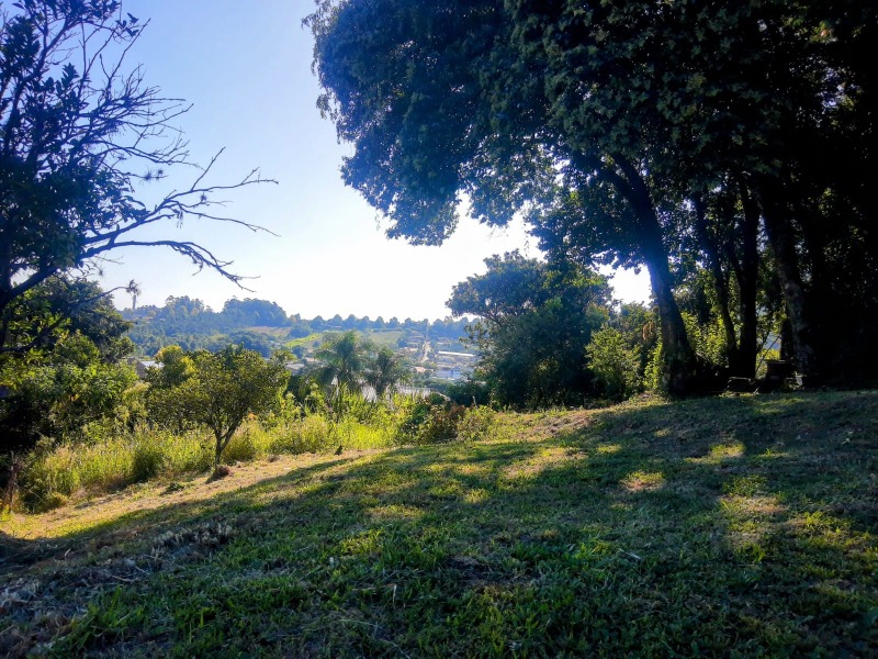  - Terreno à venda em Dois Irmãos, Floresta, 401.50m²