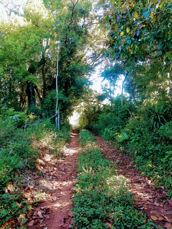  - Área à venda em Dois Irmãos, Moinho Velho, 65.000,00m²