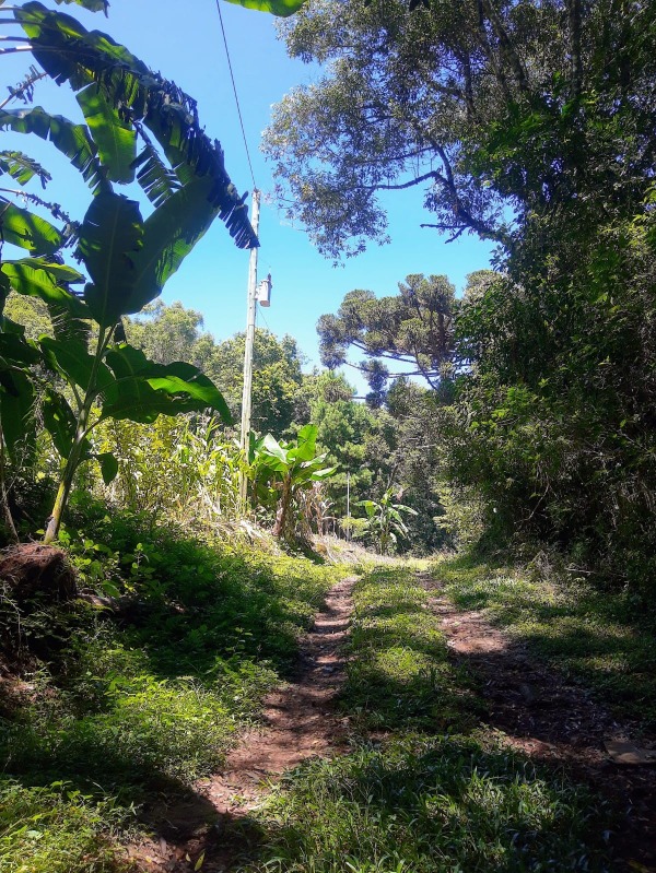  - Chácara à venda em Santa Maria do Herval, Padre Eterno, com 2 quartos, 44.994,90m²