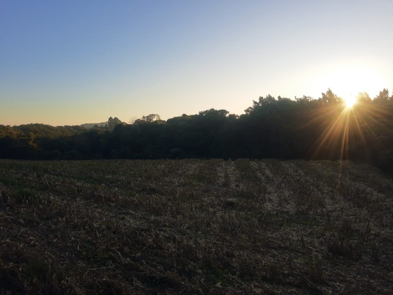 Sítio à venda - Padre Eterno Ilges,Santa Maria do Herval