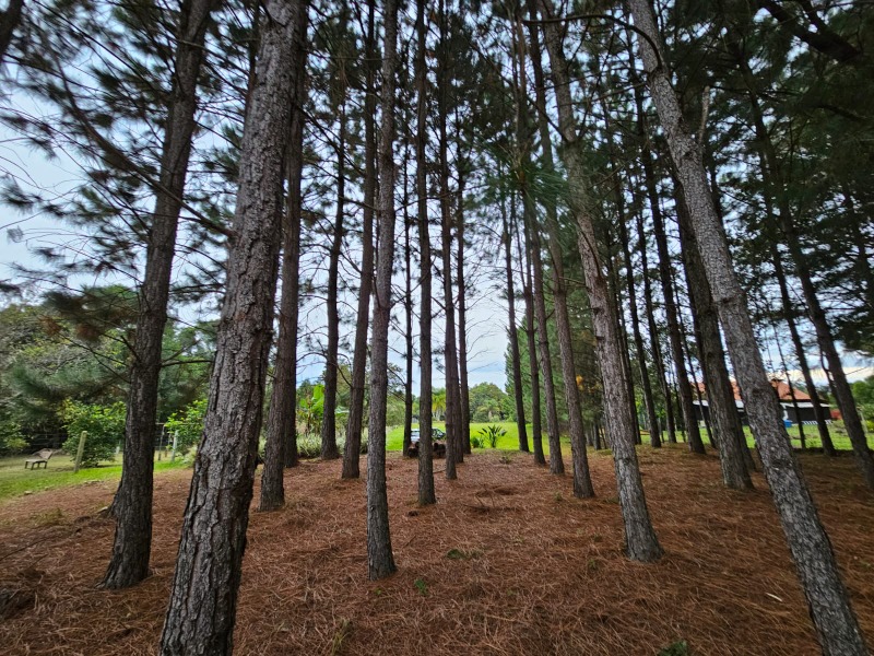 Sítio à venda - Padre Eterno Ilges,Santa Maria do Herval