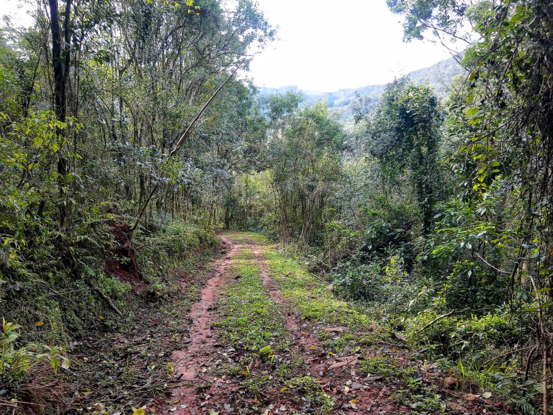 Sítio à venda - Padre Eterno,Santa Maria do Herval