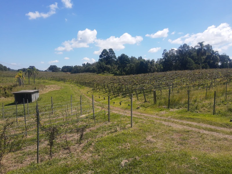 Chácara à venda com 3 quartos, 160.00m² - Nova Renânia,Santa Maria do Herval