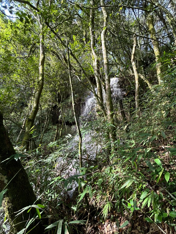 Chácara à venda com 3 quartos, 90.00m² - Padre Eterno Ilges,Santa Maria do Herval