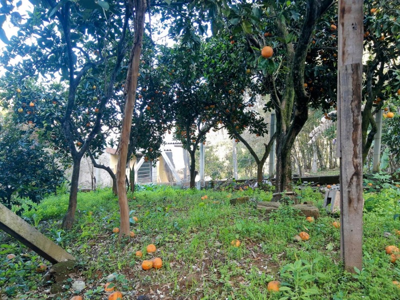  - Casa à venda em Dois Irmãos, Bela Vista, com 5 quartos, 100.00m²