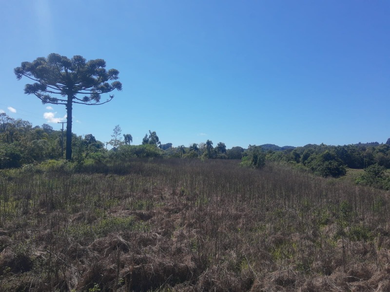  - Chácara à venda em Santa Maria do Herval, Boa Vista do Herval, com 2 quartos, 135.00m²