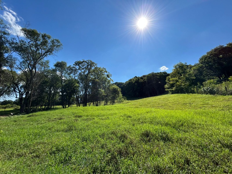  - Chácara à venda em Santa Maria do Herval, Padre Eterno Ilges, com 4 quartos, 350.00m²