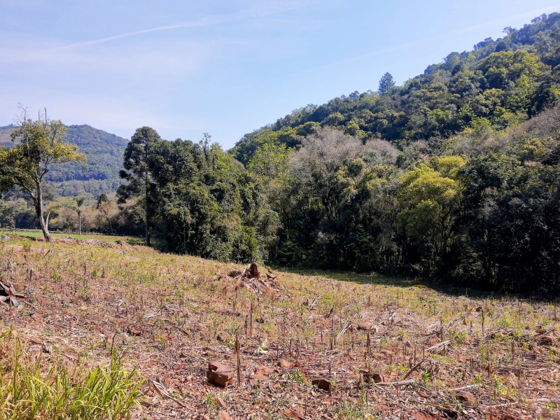 Sítio à venda - Linha Marcondes,Santa Maria do Herval