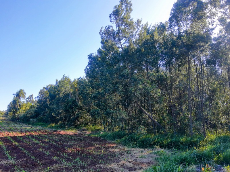 Área à venda - Moinho Velho,Dois Irmãos
