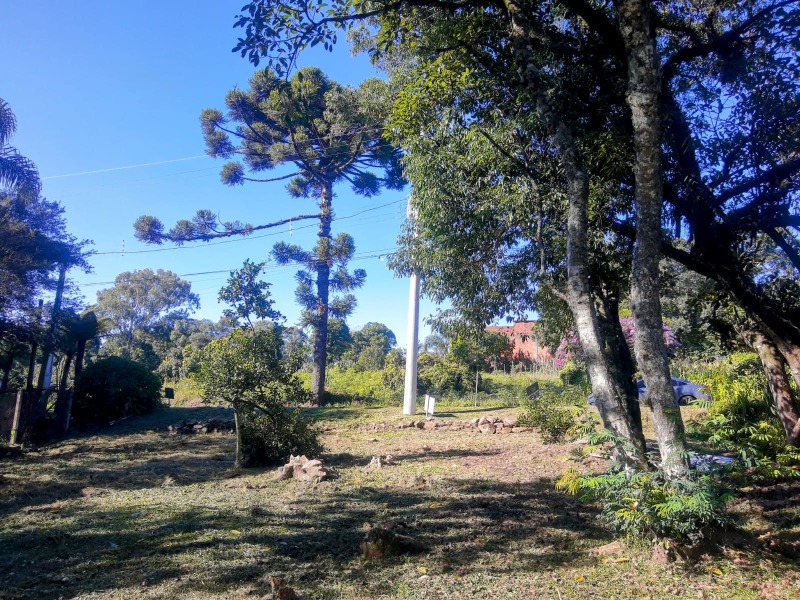 Terreno à venda - São José do Herval,Morro Reuter