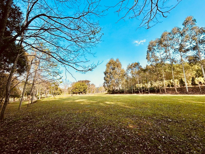 Chácara à venda com 4 quartos - Vale Direito,Dois Irmãos