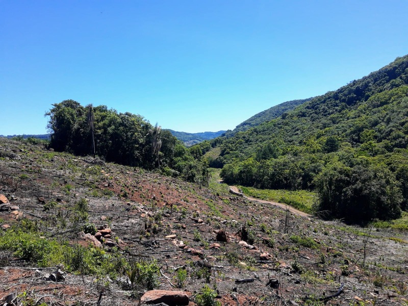 Chácara à venda - Nova Vila,Santa Maria do Herval