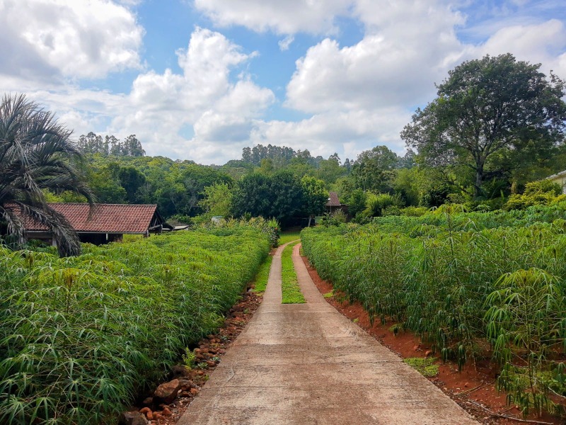 Sítio à venda com 2 quartos, 147.00m² - Travessão,Dois Irmãos