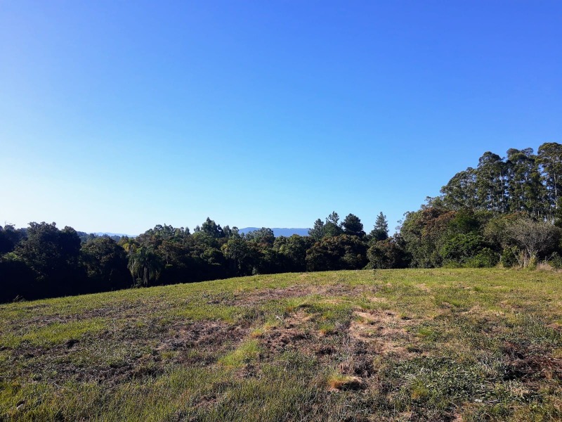  - Área à venda em Sapiranga, Porto Palmeira, 96.000,00m²