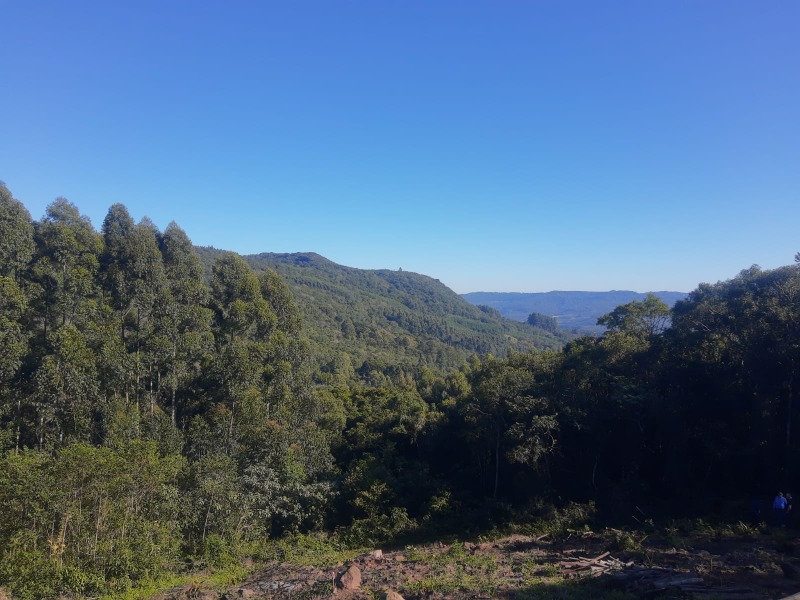 Chácara à venda com 2 quartos - Bela Hu,SAPIRANGA