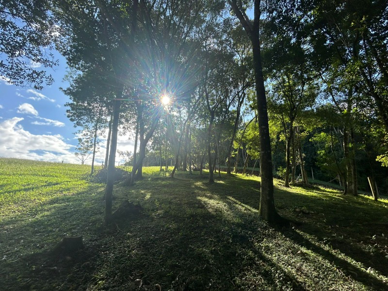  - Terreno à venda em Dois Irmãos, Travessão, 1.093,36m²