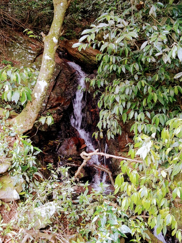  - Sítio à venda em Santa Maria do Herval, Boa Vista do Herval, com 2 quartos, 80.00m²