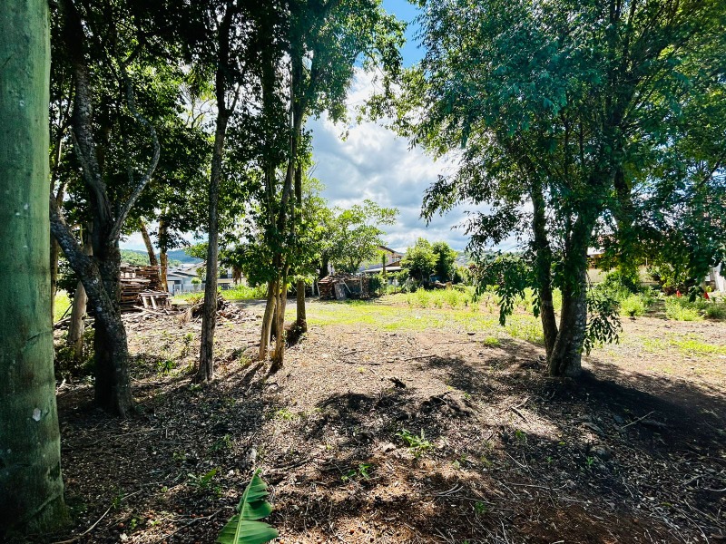 Terreno à venda - Vale Verde,Dois Irmãos