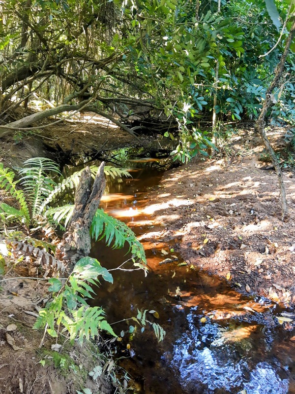 Área à venda - Porto Palmeira,Sapiranga