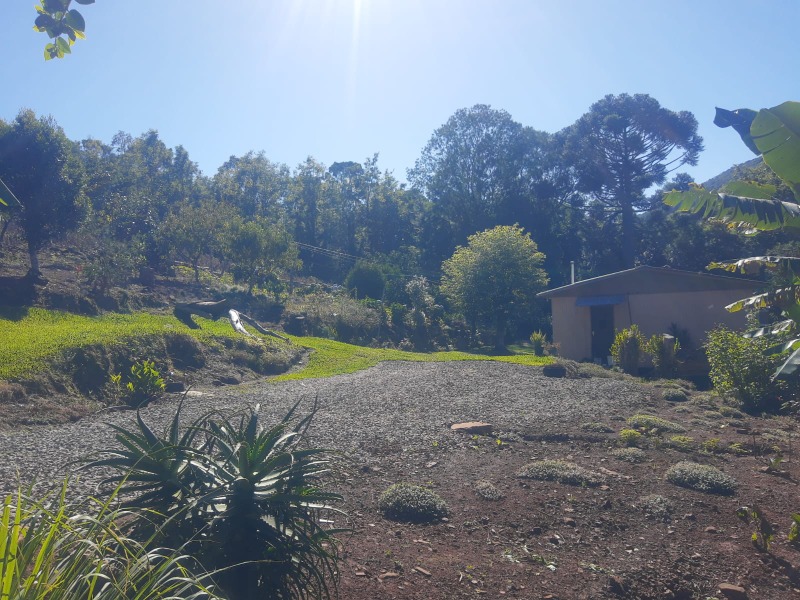 Sítio à venda com 3 quartos, 117.54m² - Franckenthal,Morro Reuter