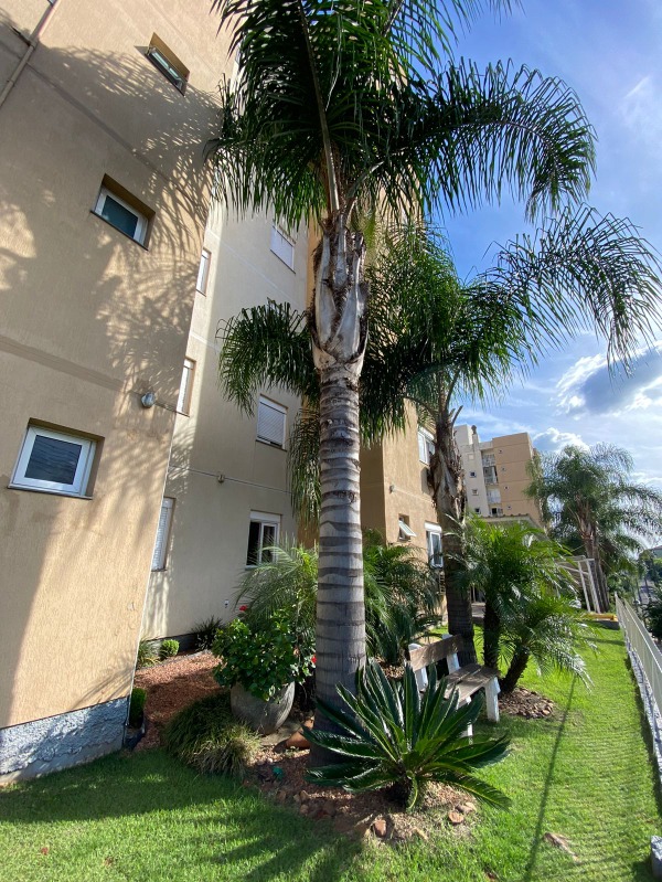 Apartamento à venda com 3 quartos, 69.17m² - Beira Rio,Dois Irmãos