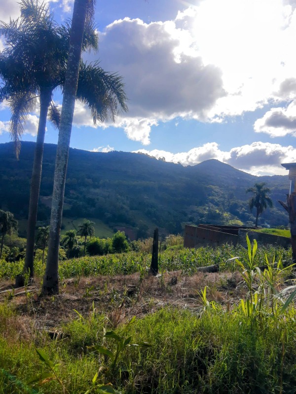  - Terreno à venda em Dois Irmãos, Vale Esquerdo, 607.05m²