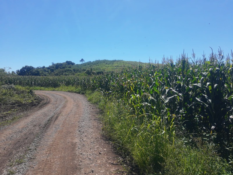 Chácara à venda - Alto Padre Eterno,Santa Maria do Herval