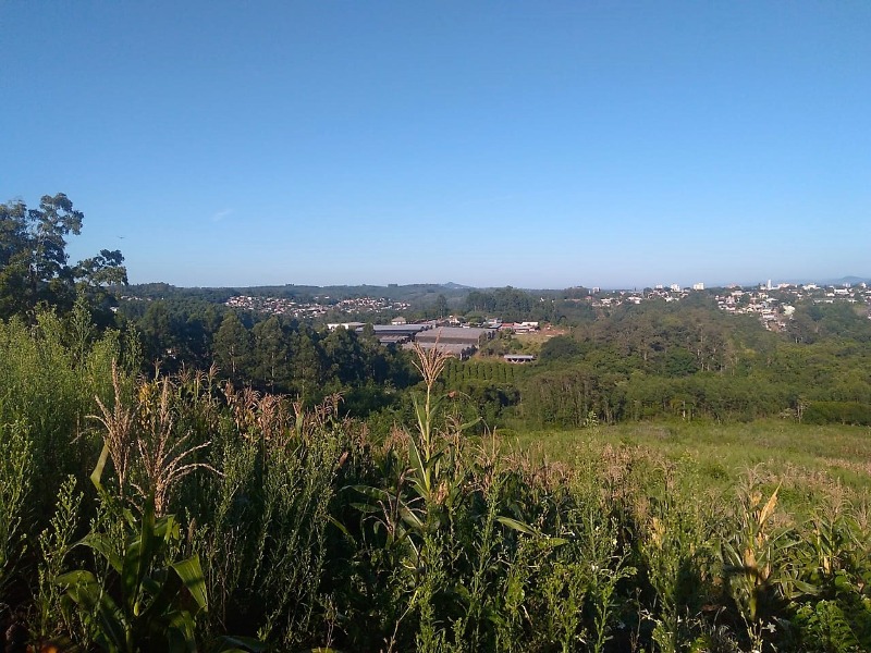  - Chácara à venda em Dois Irmãos, Becker, 37.083,62m²