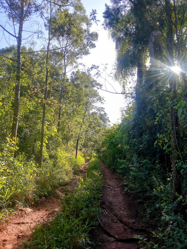 Área à venda - Moinho Velho,Dois Irmãos