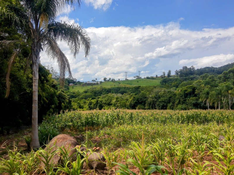 Chácara à venda com 4 quartos, 145.00m² - Travessão,Dois Irmãos