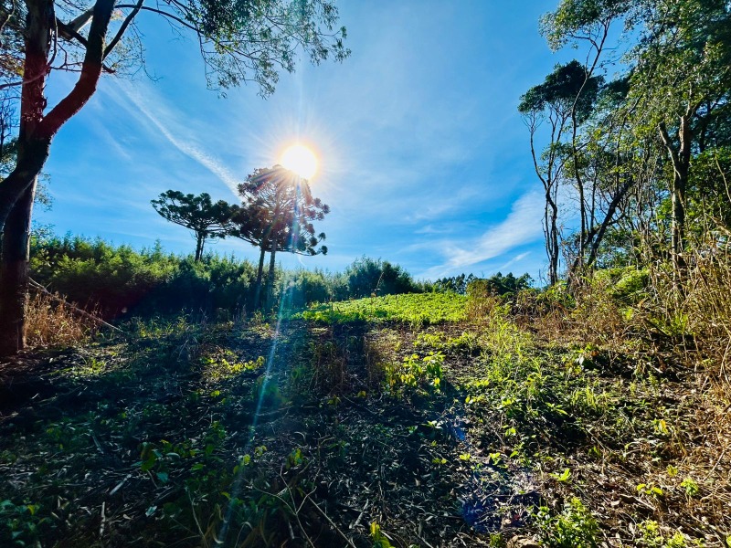  - Chácara à venda em Santa Maria do Herval, Padre Eterno Ilges, 30.000,00m²