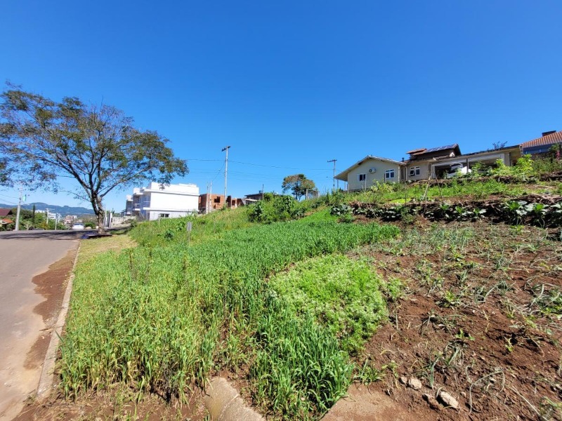 Terreno à venda - Vale Verde,Dois Irmãos