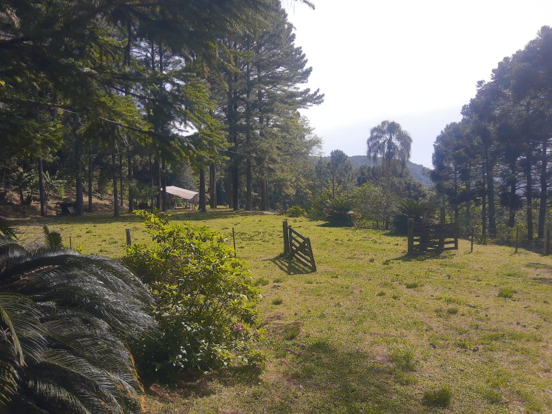 Chácara à venda com 5 quartos, 400.00m² - Centro,Morro Reuter