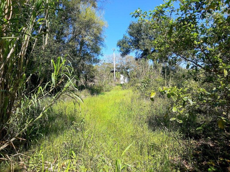 Terreno à venda - Centro,Picada Café