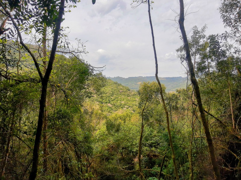 Sítio à venda - Padre Eterno,Santa Maria do Herval