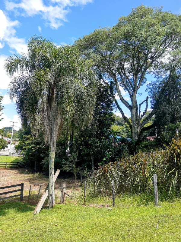  - Sítio à venda em Dois Irmãos, São João, com 6 quartos, 6.063,00m²