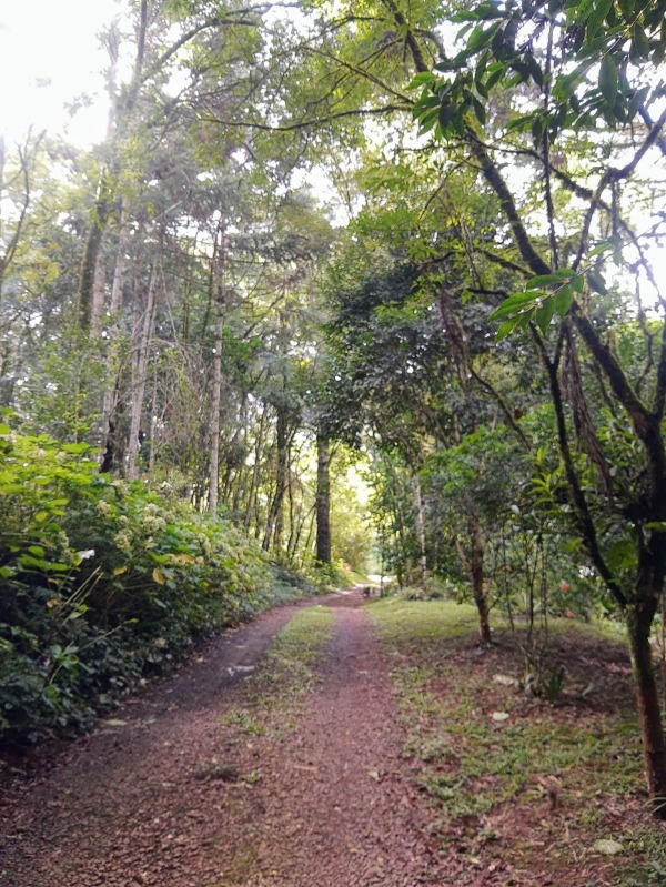 Sítio à venda com 2 quartos - Franckenthal,Morro Reuter