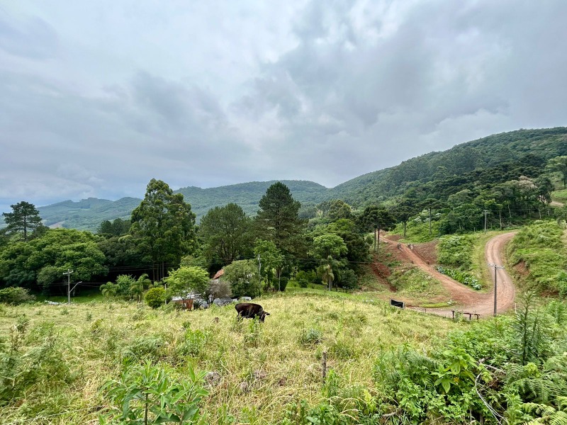 Sítio à venda - São José do Herval,Morro Reuter