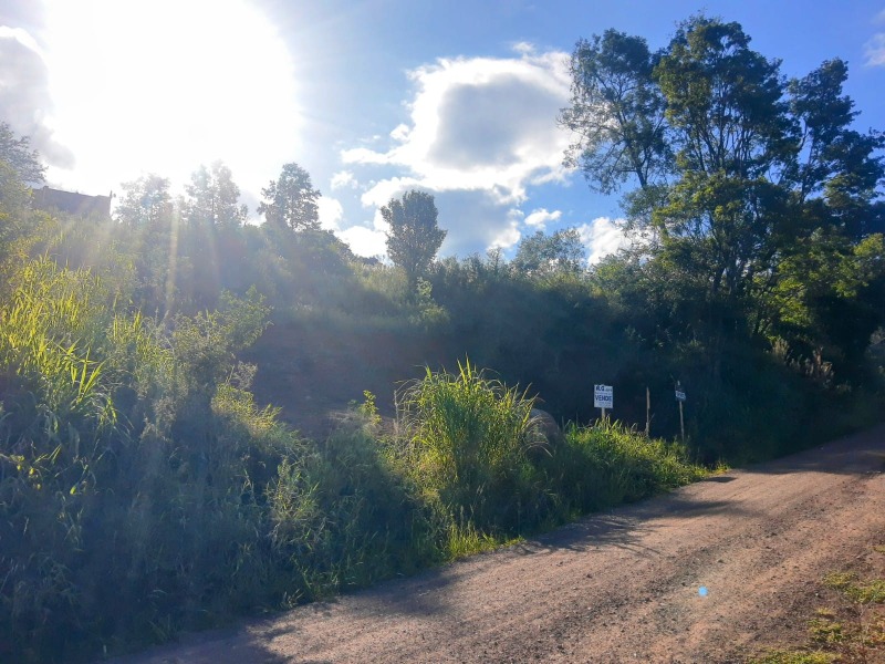 Terreno à venda - Vila Steil,Morro Reuter