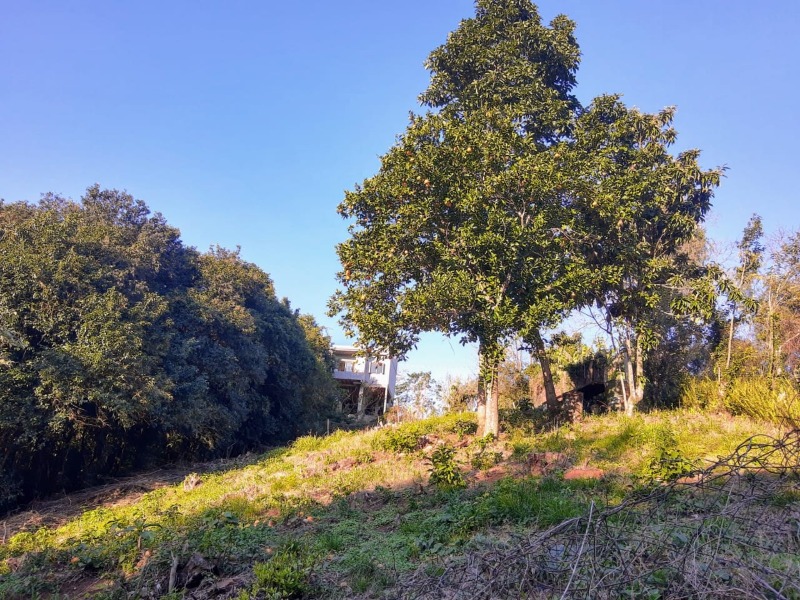 Terreno à venda - Floresta,Dois Irmãos