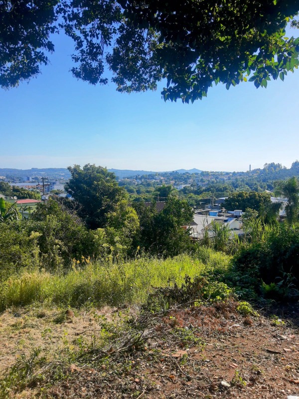 Terreno à venda - Floresta,Dois Irmãos