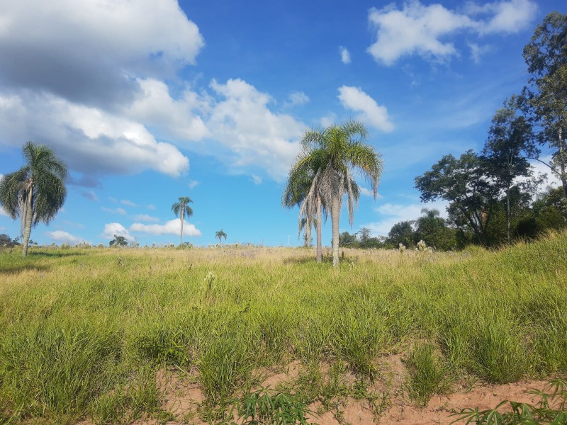 Chácara à venda - Quatro Colônias,Campo Bom