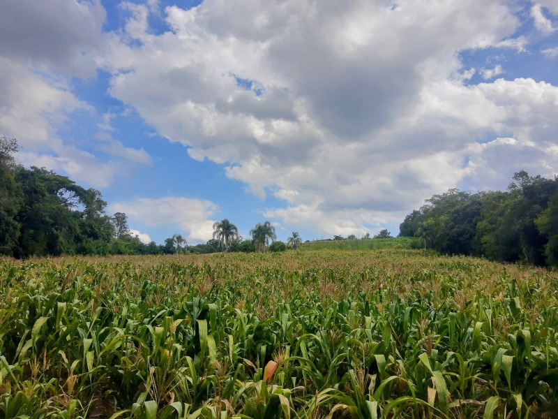  - Chácara à venda em Dois Irmãos, Travessão, com 4 quartos, 145.00m²