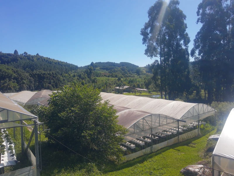 Chácara à venda com 4 quartos, 420.00m² - Padre Eterno Ilges,Santa Maria do Herval