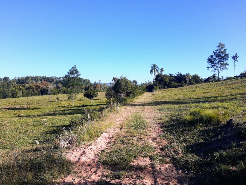 Área à venda - Porto Palmeira,Sapiranga